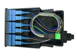 MPO - SC Fiber Cassette - 12C OS2 (UPC) - With Cable